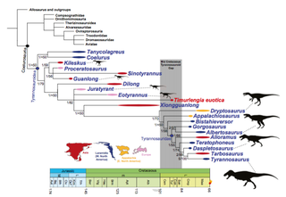 An updated map of theropod evolution. Image: S. L. Brusatte et al., 2016/PNAS